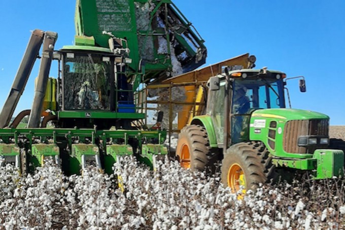 Colheita produtor Bruno - Agropecuária Santa Helena em Ribeirão do Pinhal PR