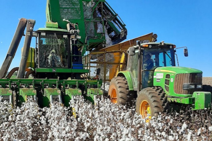 Colheita produtor Bruno - Agropecuária Santa Helena em Ribeirão do Pinhal – PR