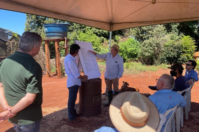 Visita Técnica - Sitio Ouro Verde Cambará PR