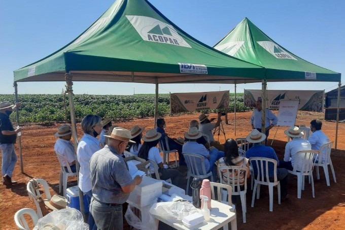 Visita Técnica em Cambará - Sítio Sakamoto