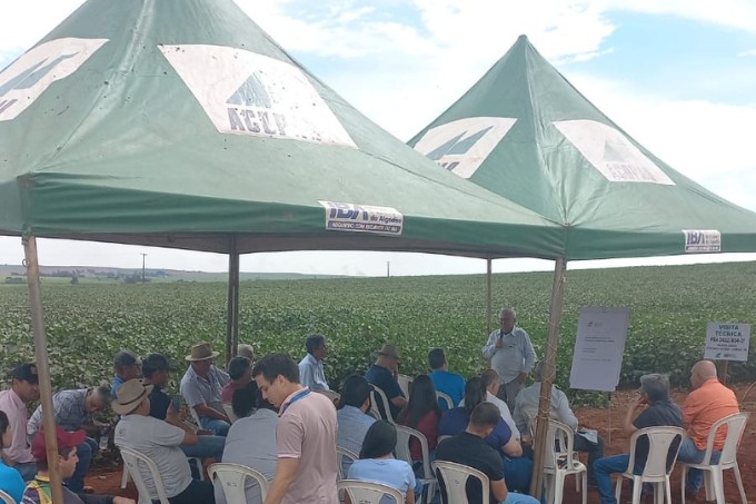 Visita Técnica - Sítio Santo Antônio Cambará PR