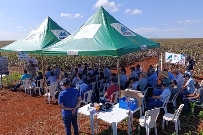 Dia de Campo - Sítio Saltinho  Ibiporã PR