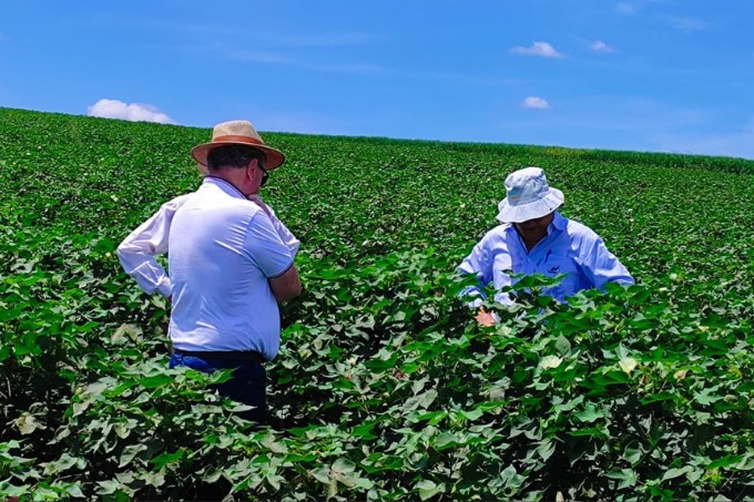 Visita Técnica - Sindicato Rural de Cambará PR
