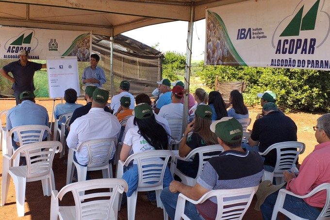 A Acopar promoveu no final de março visita técnica em lavoura de algodão em Cambará