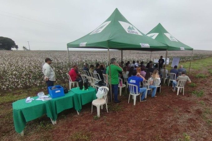 Dia de Campo - Sítio São Francisco Cambará PR