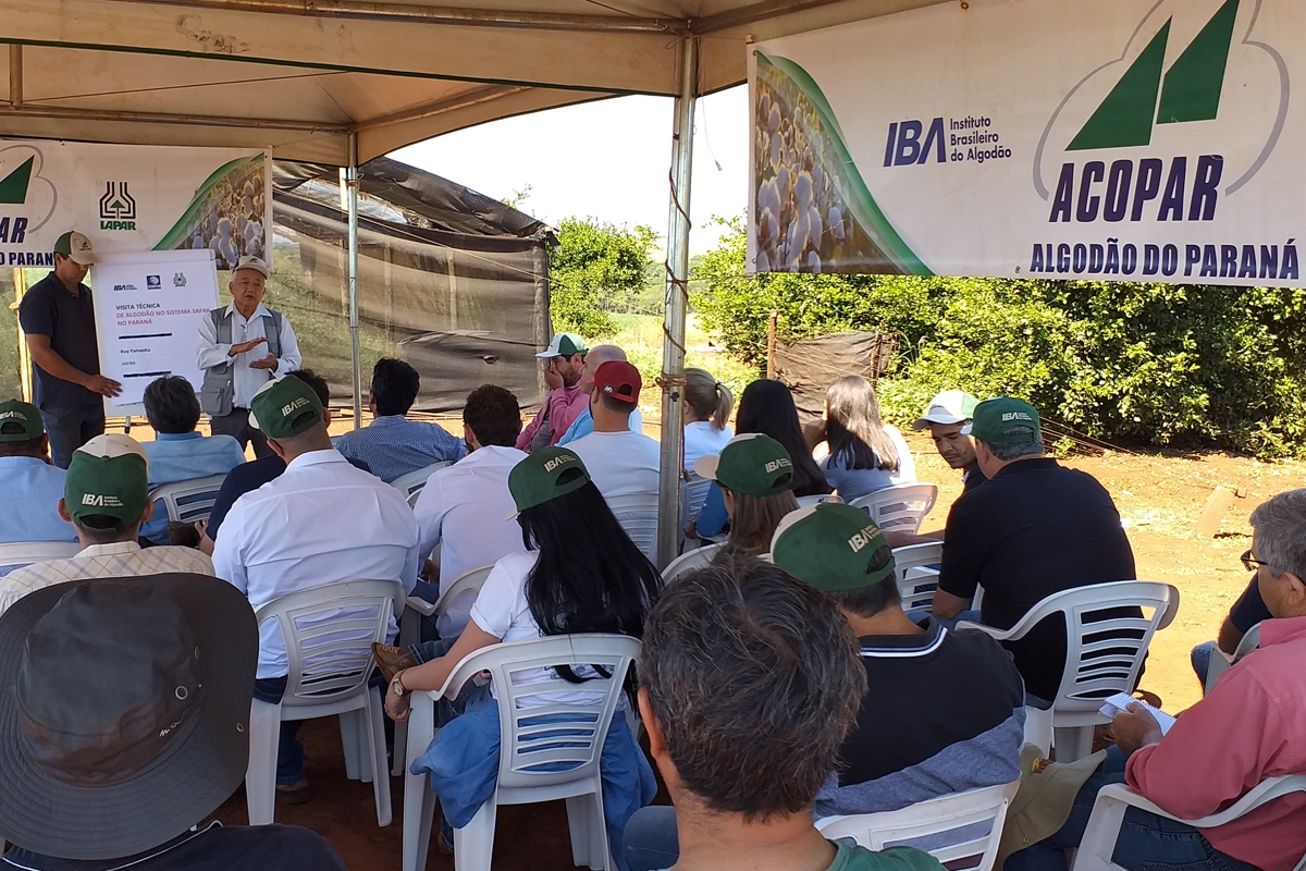 Visita Técnica Cambará