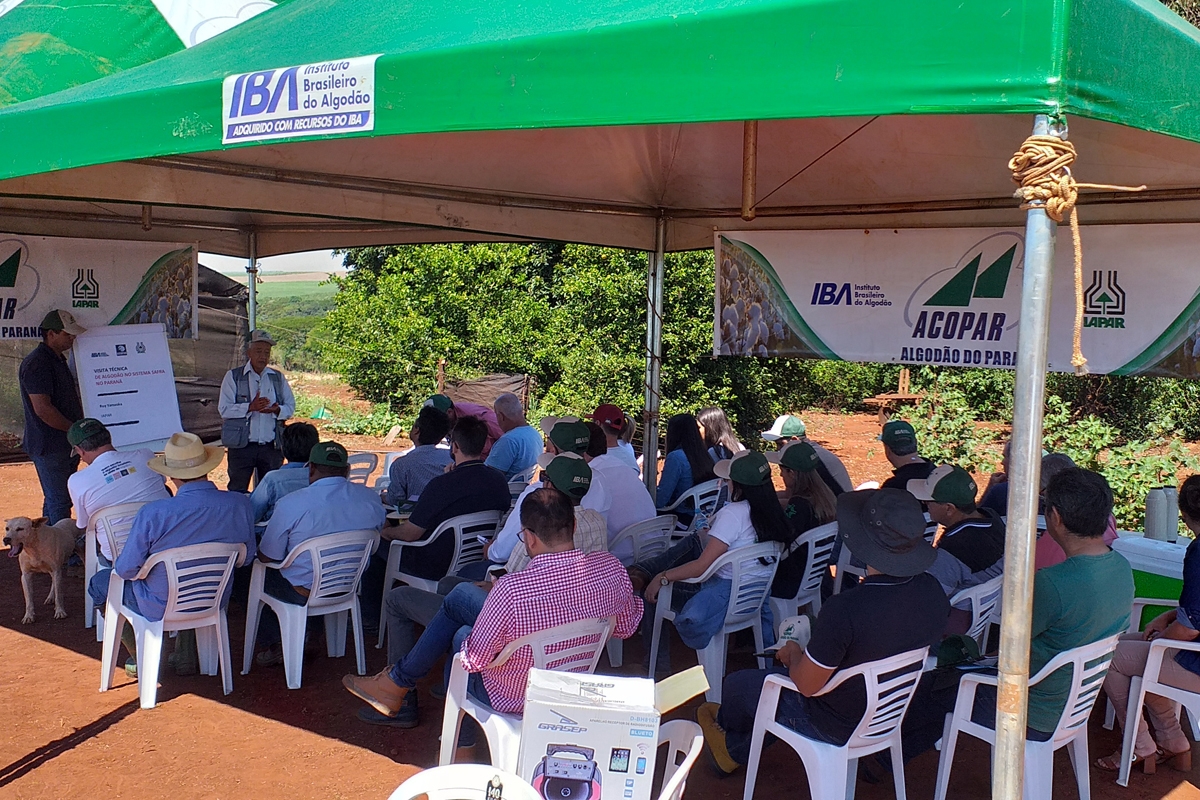 Visita Técnica Cambará