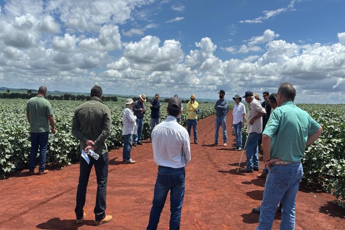 Visita Técnica - Sítio Saltinho  Ibiporã PR